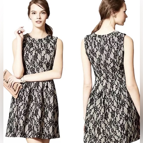 HD in Paris | Dresses | Anthropologie Hd In Paris Black Lace Cream Dress |  Poshmark